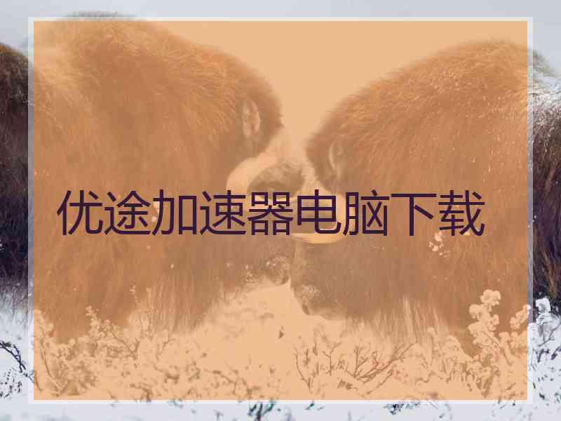 优途加速器电脑下载