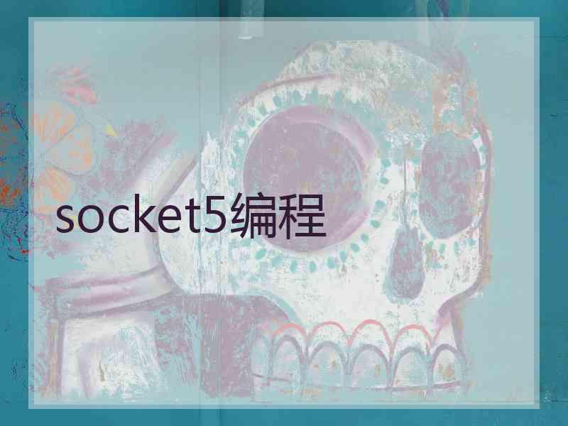 socket5编程