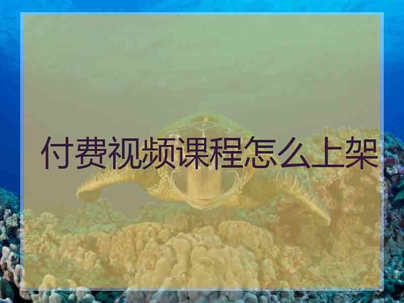 付费视频课程怎么上架