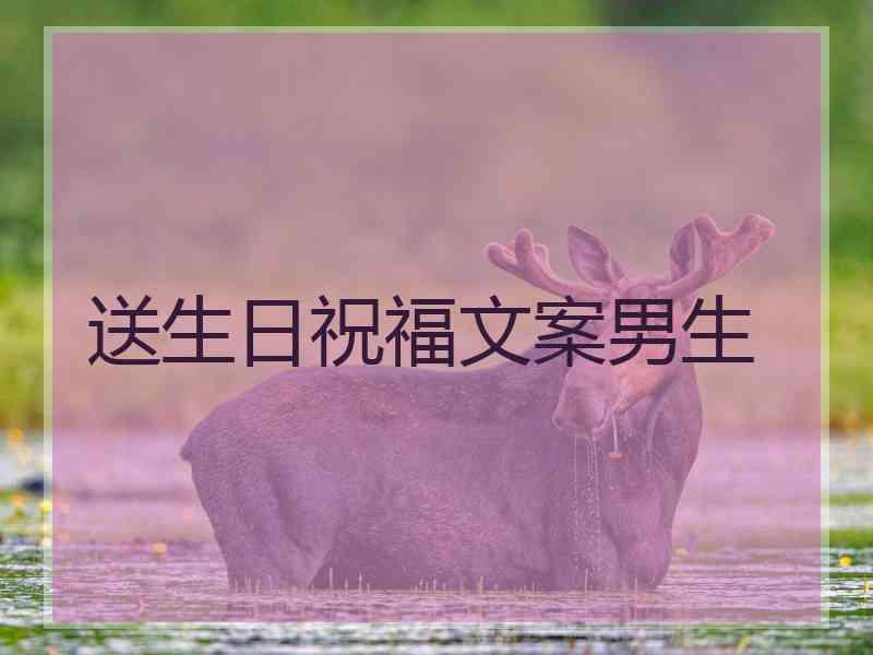 送生日祝福文案男生