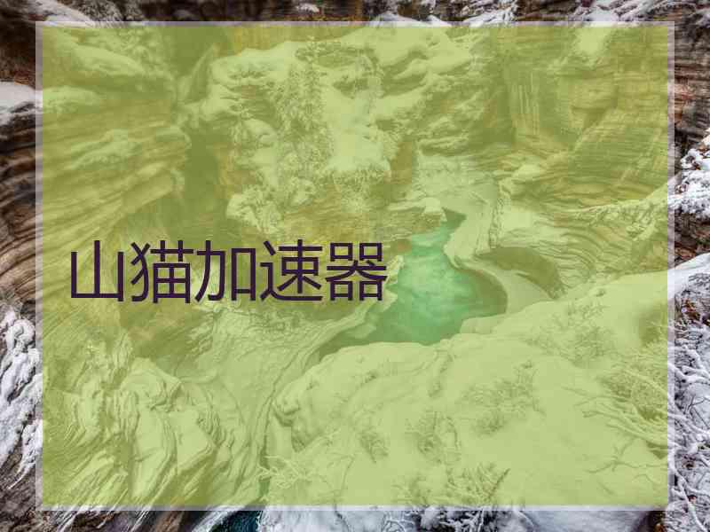 山猫加速器