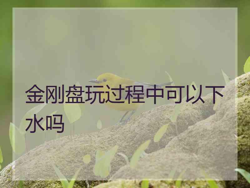 金刚盘玩过程中可以下水吗