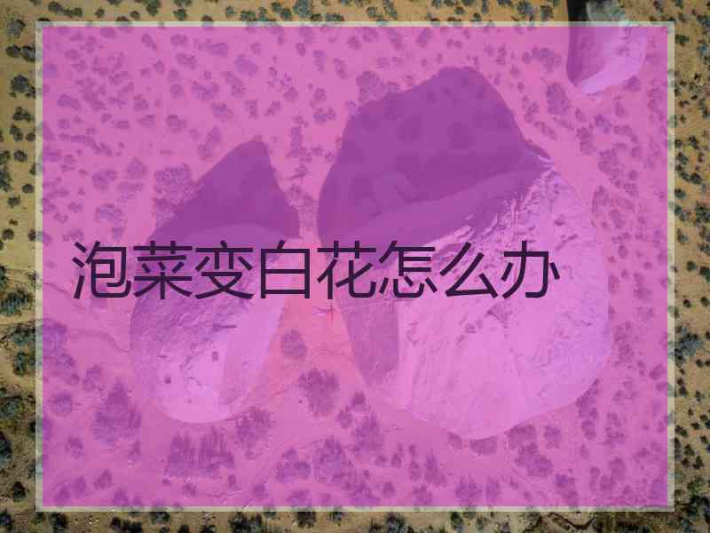 泡菜变白花怎么办