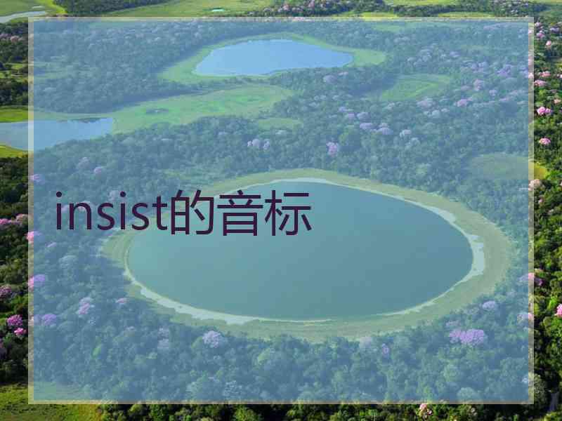 insist的音标