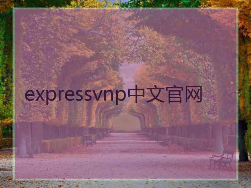 expressvnp中文官网