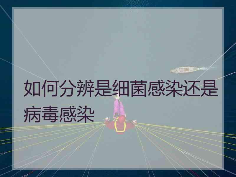 如何分辨是细菌感染还是病毒感染