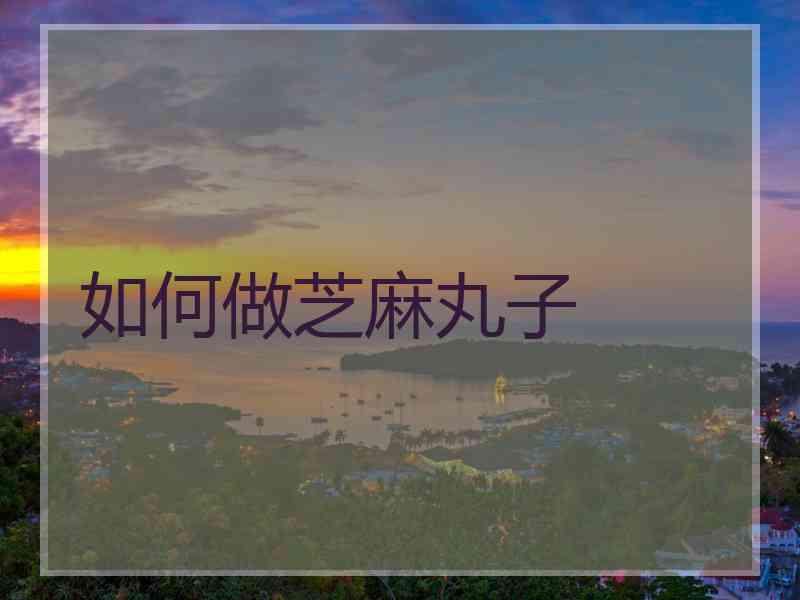 如何做芝麻丸子