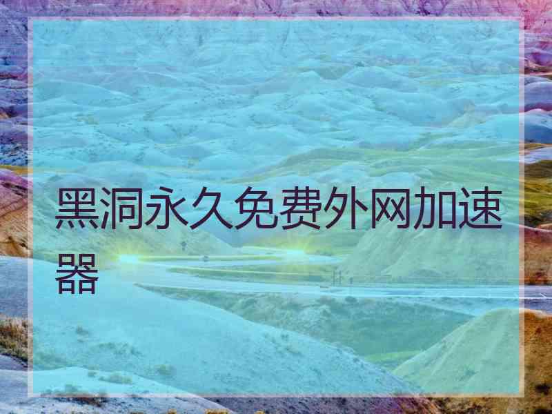 黑洞永久免费外网加速器