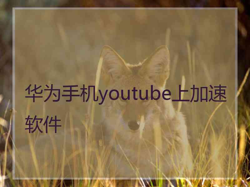 华为手机youtube上加速软件