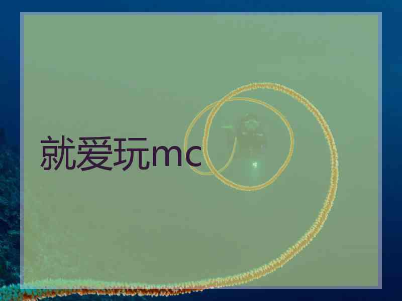 就爱玩mc