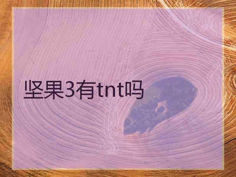 坚果3有tnt吗