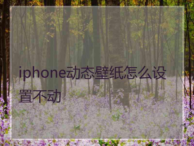 iphone动态壁纸怎么设置不动