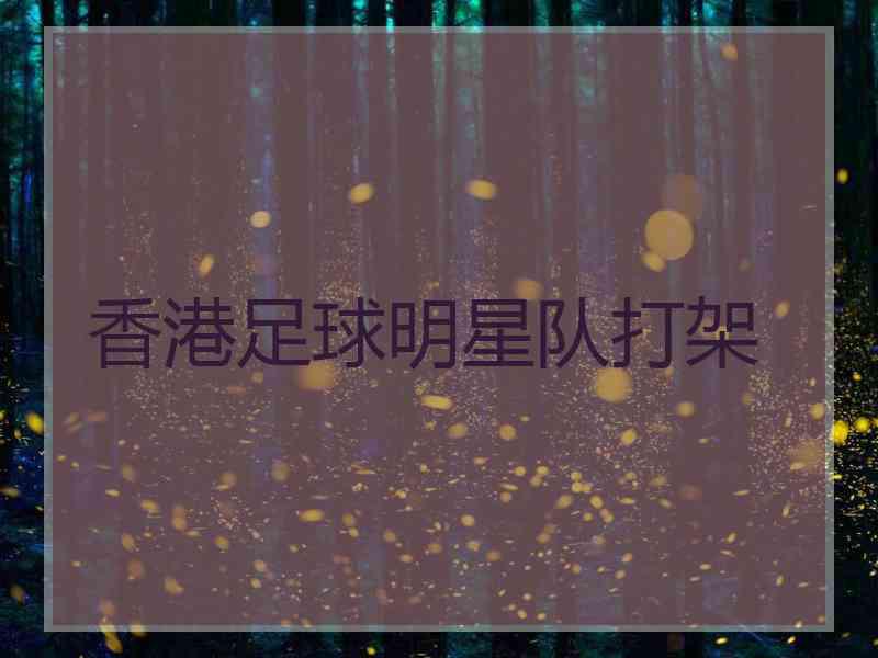 香港足球明星队打架