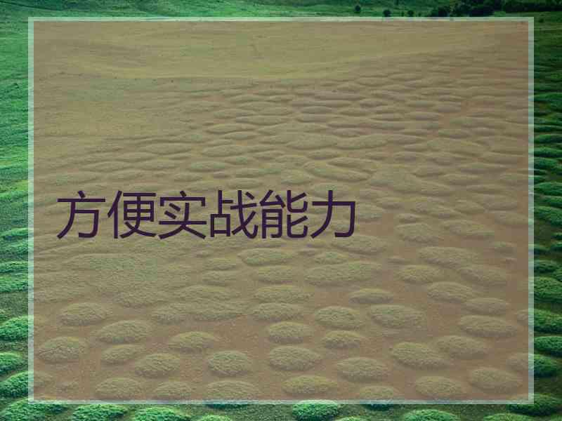 方便实战能力
