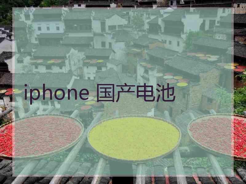 iphone 国产电池