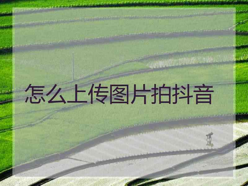 怎么上传图片拍抖音