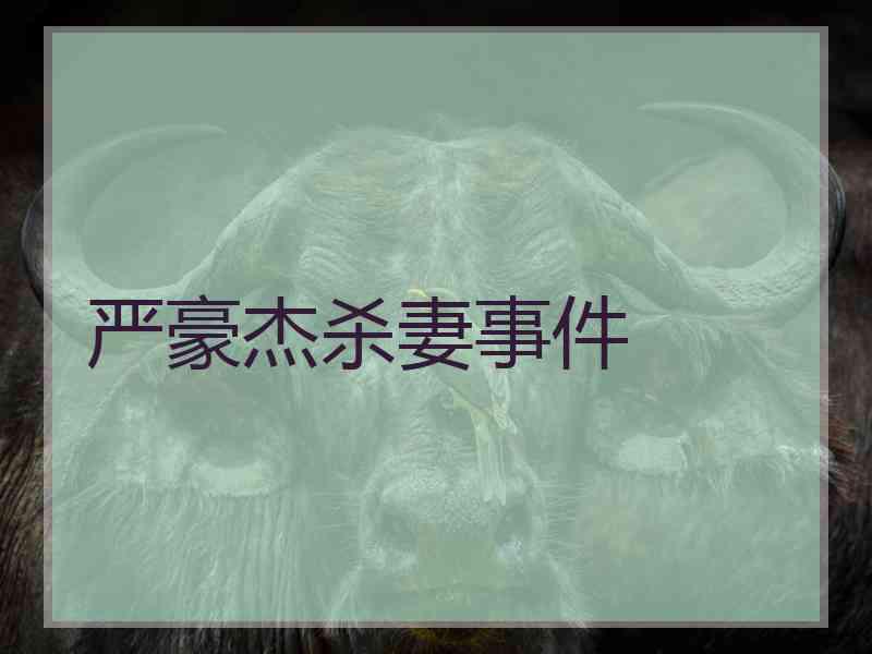 严豪杰杀妻事件