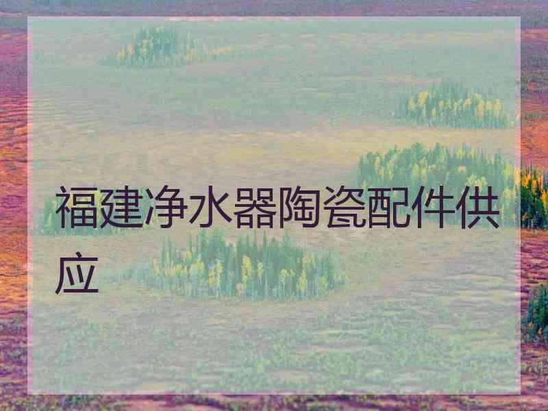 福建净水器陶瓷配件供应