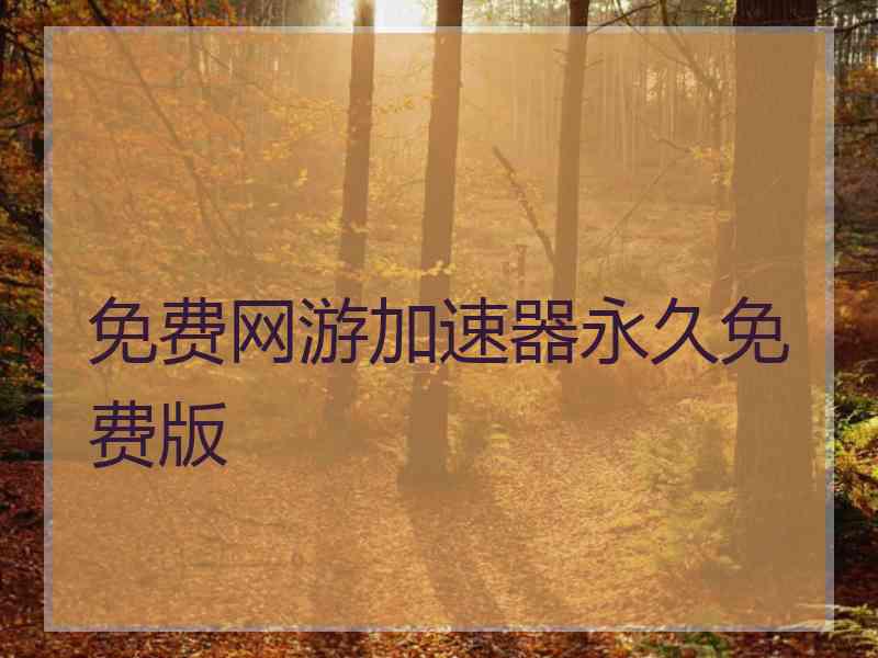 免费网游加速器永久免费版