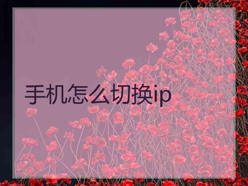 手机怎么切换ip