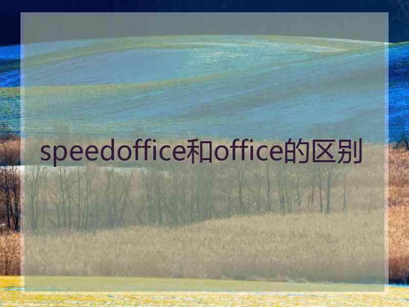 speedoffice和office的区别