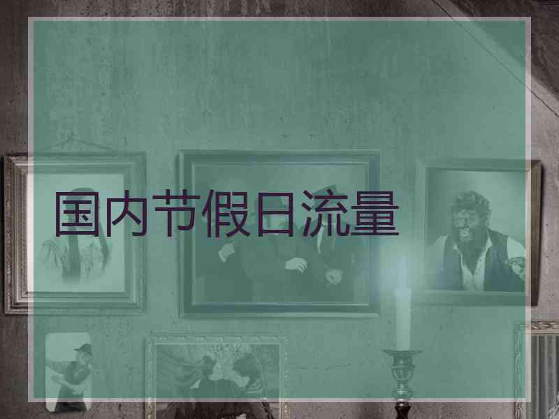 国内节假日流量