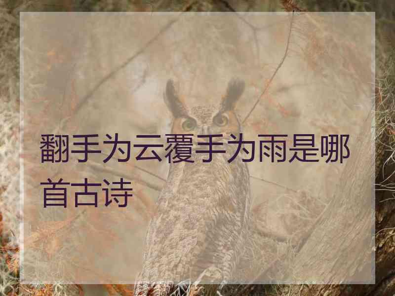 翻手为云覆手为雨是哪首古诗