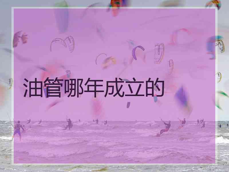 油管哪年成立的