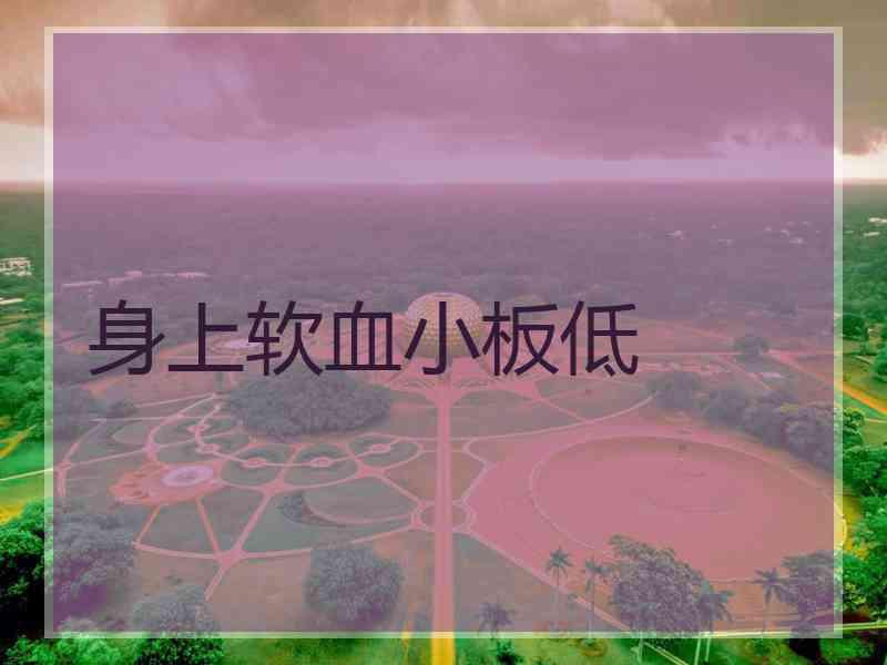 身上软血小板低