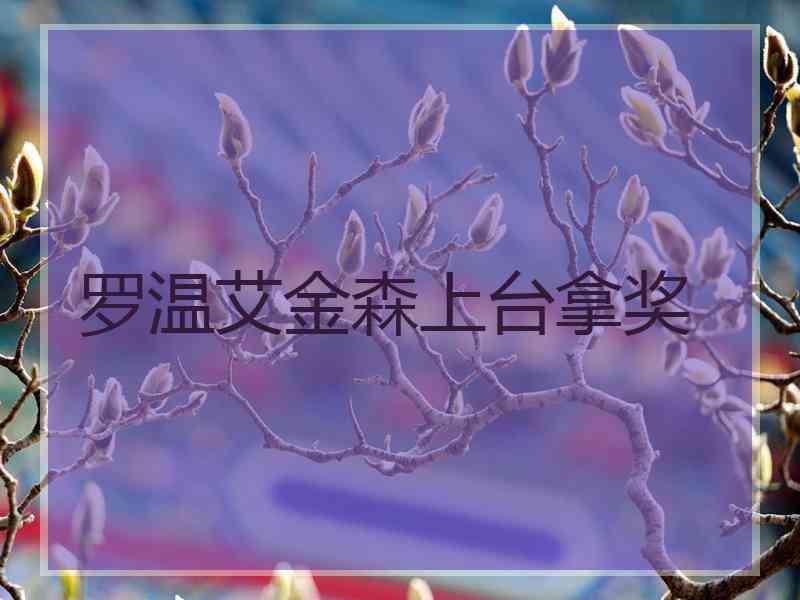 罗温艾金森上台拿奖