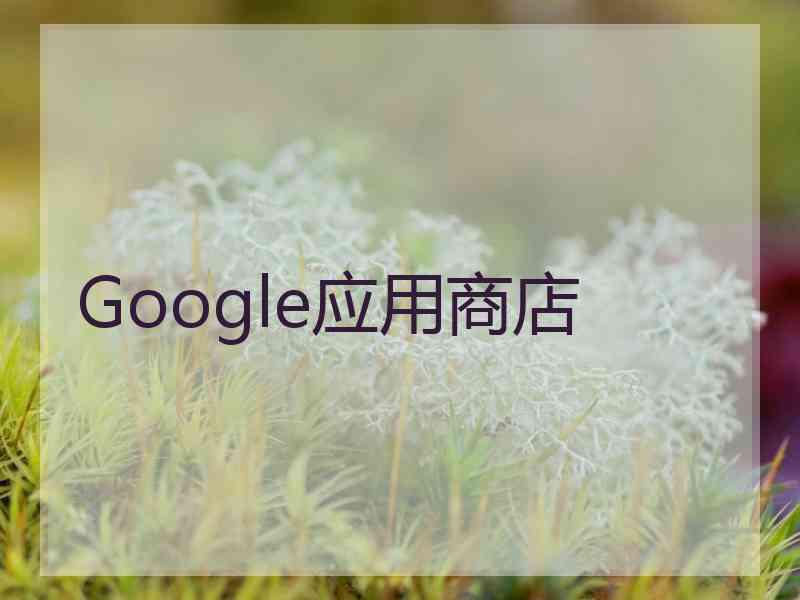 Google应用商店