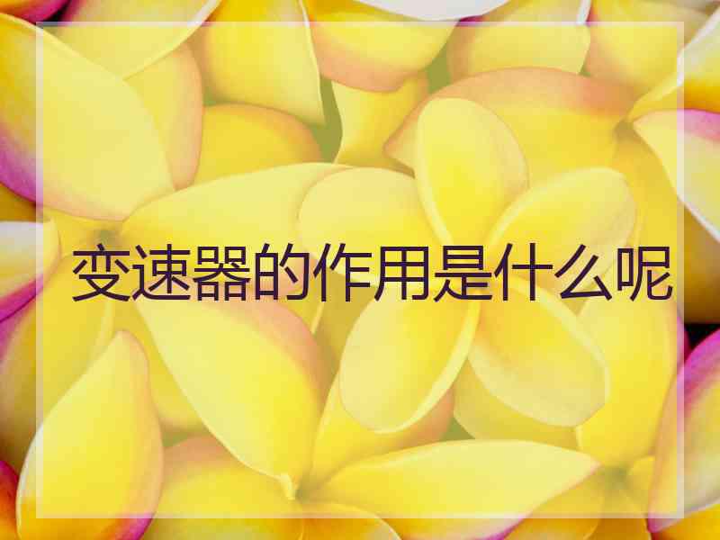 变速器的作用是什么呢