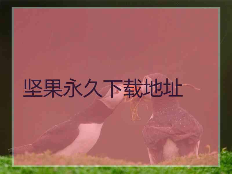 坚果永久下载地址