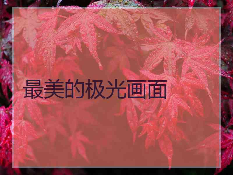 最美的极光画面