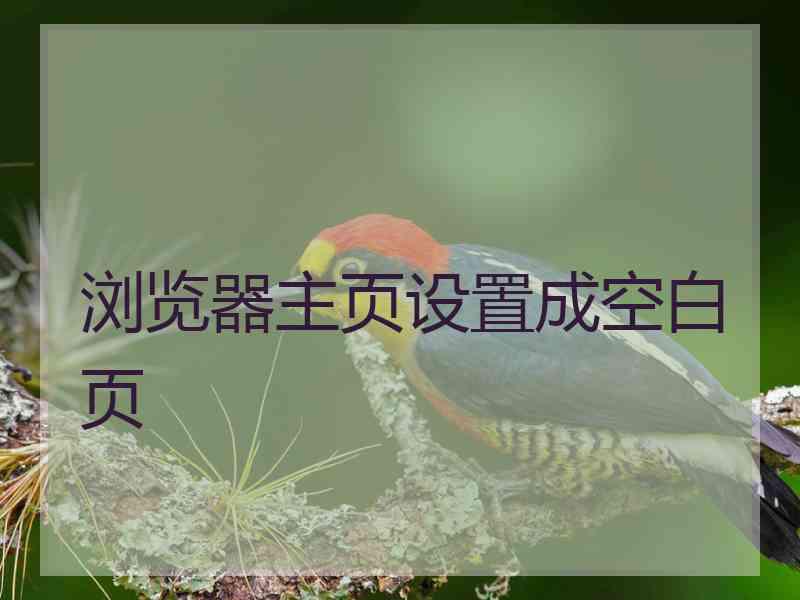 浏览器主页设置成空白页
