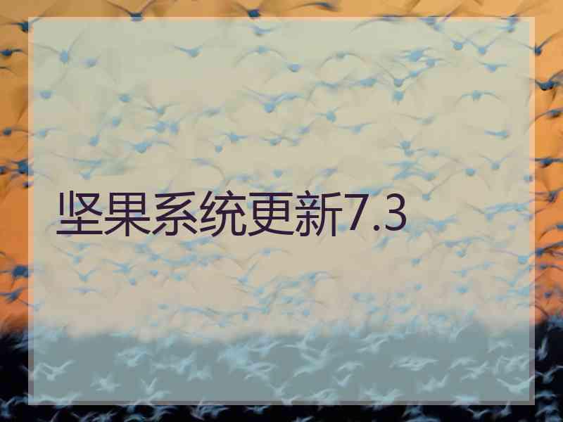 坚果系统更新7.3