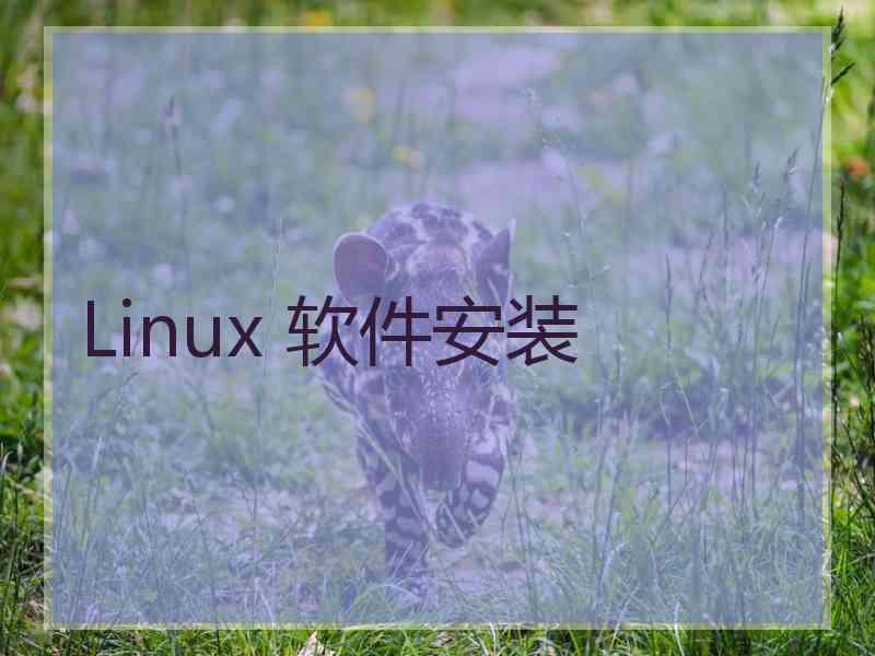 Linux 软件安装