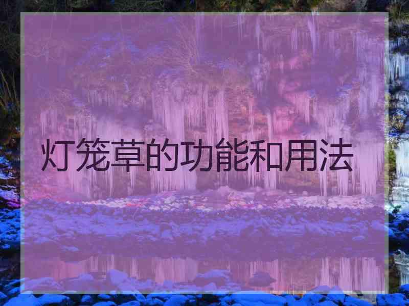 灯笼草的功能和用法