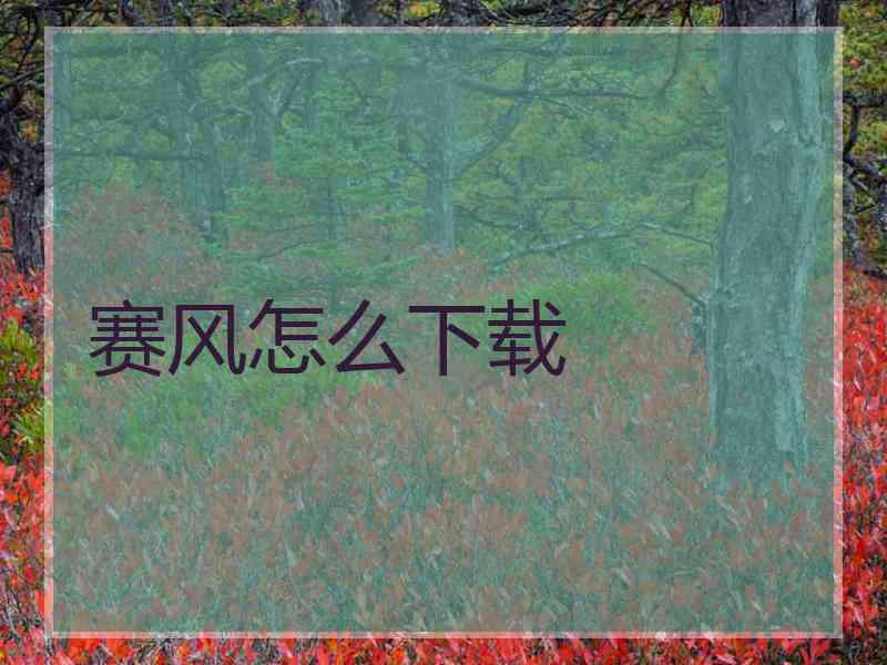赛风怎么下载