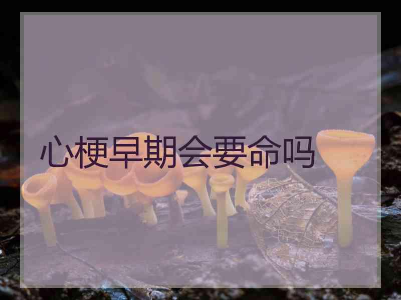 心梗早期会要命吗
