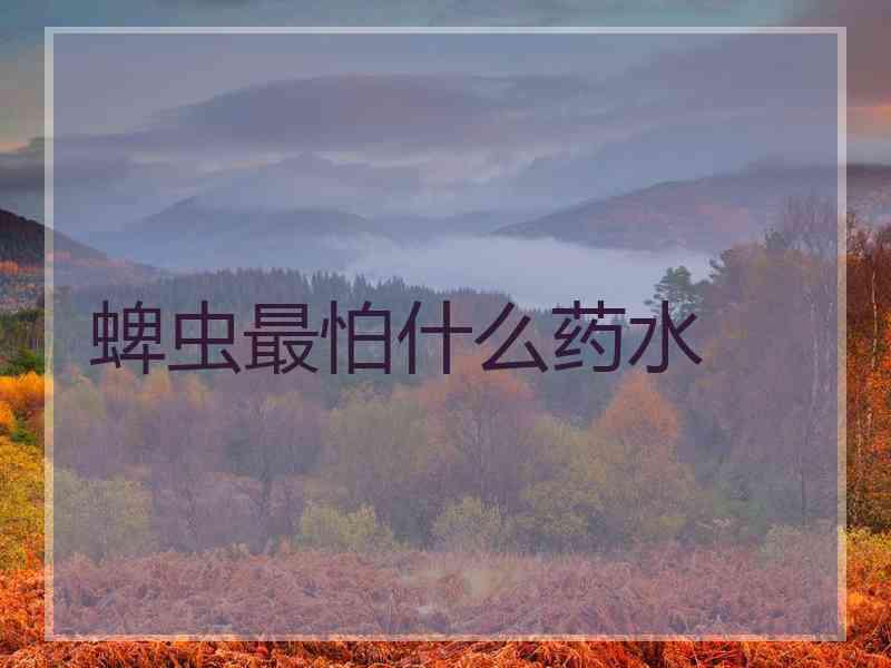 蜱虫最怕什么药水