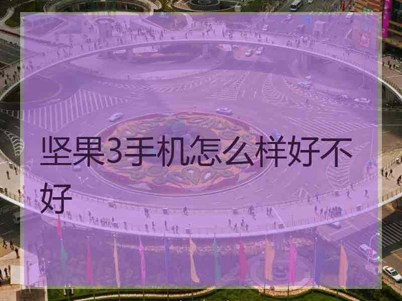 坚果3手机怎么样好不好