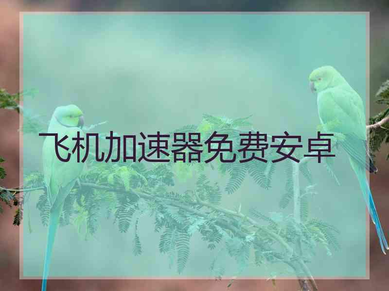 飞机加速器免费安卓