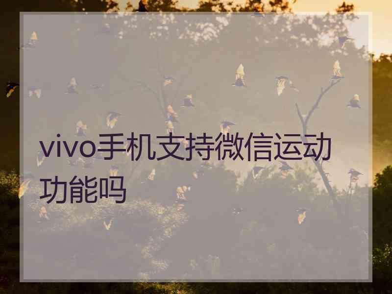 vivo手机支持微信运动功能吗
