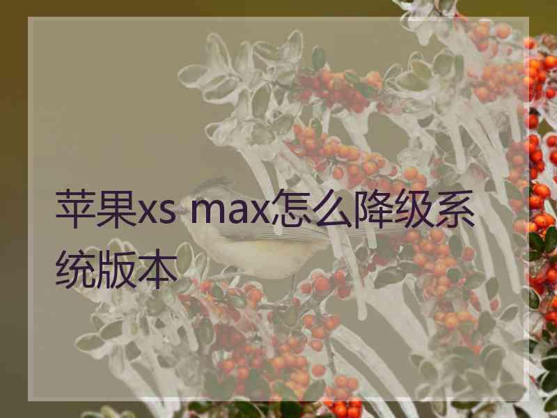 苹果xs max怎么降级系统版本