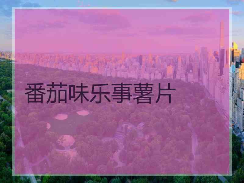 番茄味乐事薯片