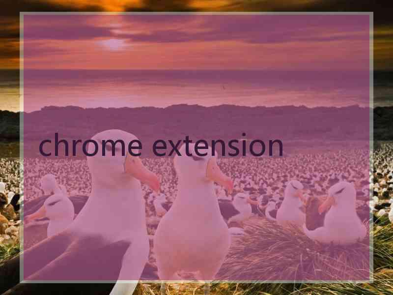 chrome extension
