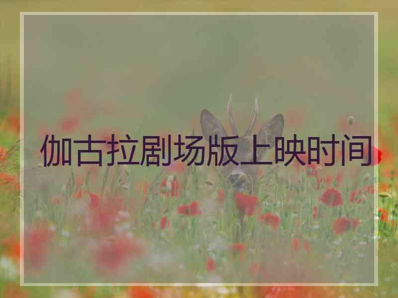 伽古拉剧场版上映时间