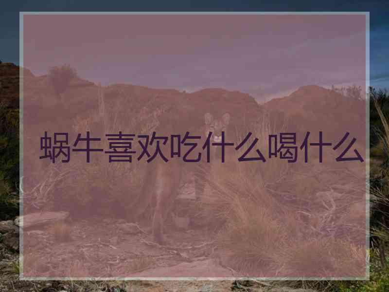 蜗牛喜欢吃什么喝什么