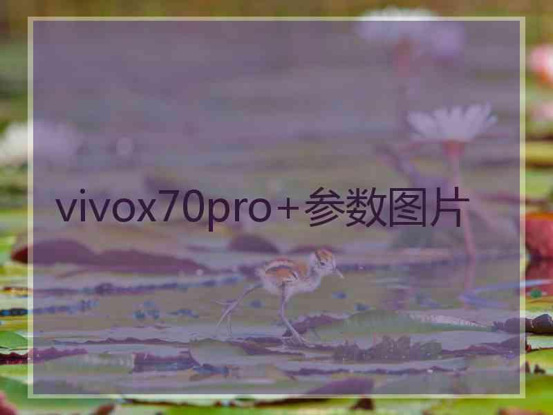 vivox70pro+参数图片